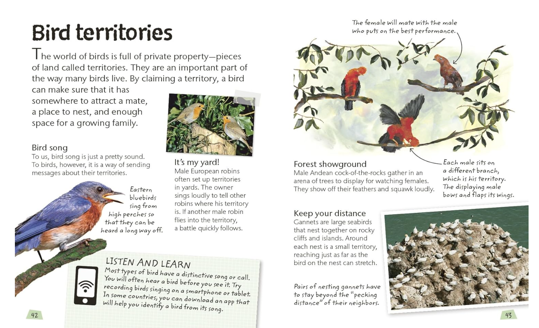 DK Books Birds: Explore Nature with Fun Facts and Activities