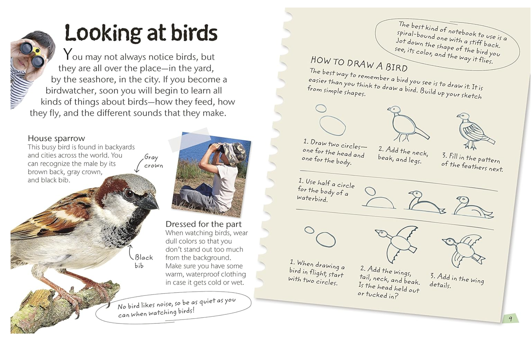 DK Books Birds: Explore Nature with Fun Facts and Activities