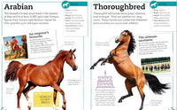 DK My Book of Horses & Ponies