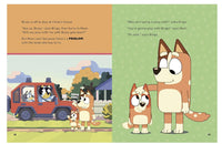 5 Minute Bluey Stories