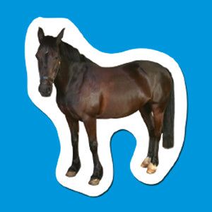Priddy Books First 100 Animal Sticker Sticker Book
