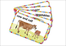 Dk Books Farm: My First Touch And Feel Picture Cards