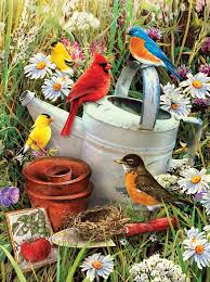 Royal & Langnickel Garden Birds Paint By Number