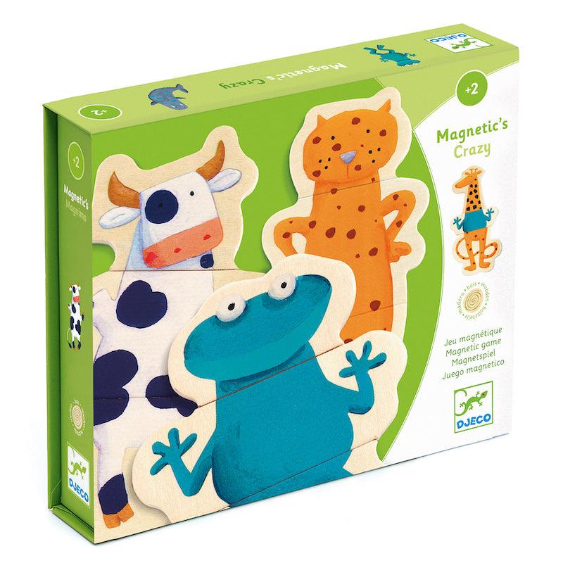 Djeco Crazy Magnetics'