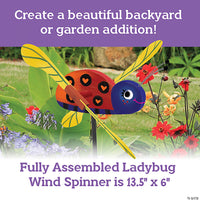 MindWare Ladybug Wind Spinner Kit