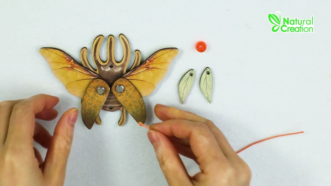 Avenir Beetle Create My Wooden Charm