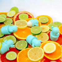 Rebels Refinery Teal Cactus 2 Pack Blister - Summer Citrus